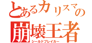 とあるカリスマの崩壊王者（シールドブレイカー）