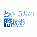 とある５人の密接影（ＳＩＡＭＳＨＡＤＥ）