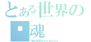 とある世界の灵魂（神は世界をから作られた）