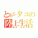 とあるタコの陸上生活（知念　芳樹）