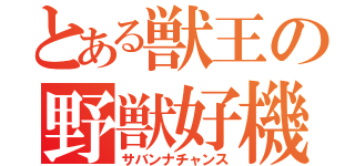 とある獣王の野獣好機（サバンナチャンス）