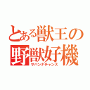 とある獣王の野獣好機（サバンナチャンス）