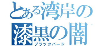 とある湾岸の漆黒の闇（ブラックバード）