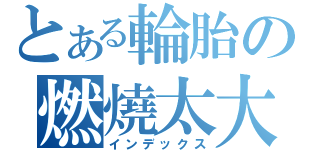 とある輪胎の燃燒太大（インデックス）