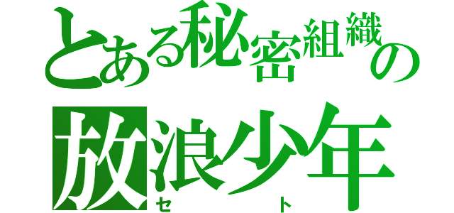 とある秘密組織の放浪少年（セト）