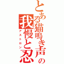 とある猫鳴き声の我慢と忍耐（アストロン）