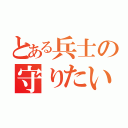 とある兵士の守りたいもの（）