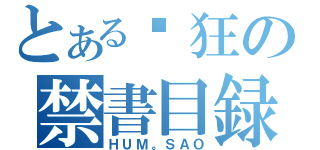 とある癫狂の禁書目録（ＨＵＭ。ＳＡＯ）