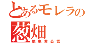 とあるモレラの葱畑（地主非公認）