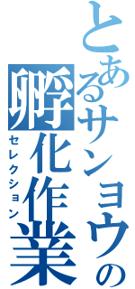 とあるサンヨウの孵化作業（セレクション）