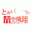 とある（ ＾ω＾）の青空飛翔歌（空も飛べるはず）