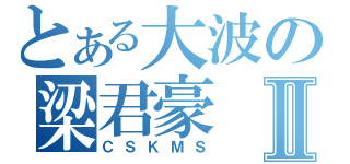 とある大波の梁君豪Ⅱ（ＣＳＫＭＳ）