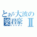 とある大波の梁君豪Ⅱ（ＣＳＫＭＳ）