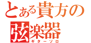 とある貴方の弦楽器（ギターソロ）