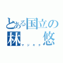 とある国立の林  悠游（マジキチ）