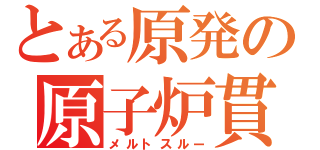 とある原発の原子炉貫通（メルトスルー）