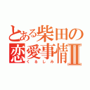 とある柴田の恋愛事情Ⅱ（くるしみ）