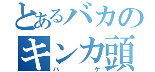 とあるバカのキンカ頭（ハゲ）