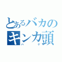 とあるバカのキンカ頭（ハゲ）