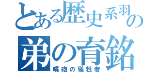 とある歴史系羽の弟の育銘（嘴砲の犧牲者）