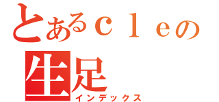 とあるｃｌｅａｒの生足（インデックス）