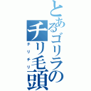 とあるゴリラのチリ毛頭（チリチリ）