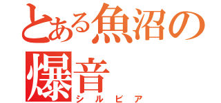 とある魚沼の爆音（シルビア）