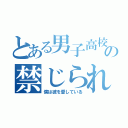 とある男子高校生の禁じられた恋愛（僕は彼を愛している）