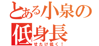 とある小泉の低身長（せたけ低く！）