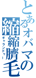 とあるオバマの縮縮臍毛（ギャランドゥー）