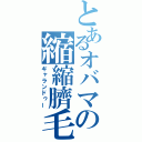 とあるオバマの縮縮臍毛（ギャランドゥー）