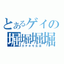 とあるゲイの堀堀堀堀（ガチホモ生活）