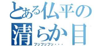 とある仏平の清らか目録（フッフッフッ・・・）