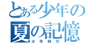 とある少年の夏の記憶（少年時代）