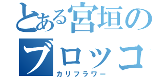 とある宮垣のブロッコリー（カリフラワー）