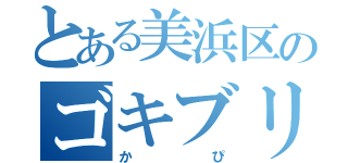 とある美浜区のゴキブリ（かぴ）