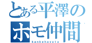 とある平澤のホモ仲間（ｋａｎｋｅｈａｙａｔａ）