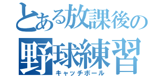 とある放課後の野球練習（キャッチボール）