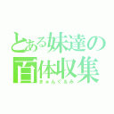 とある妹達の百体収集（きゅんぐるみ）