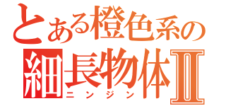 とある橙色系の細長物体Ⅱ（ニンジン）