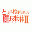 とある橙色系の細長物体Ⅱ（ニンジン）