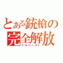 とある銃槍の完全解放（フルバースト）