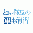 とある鞍屋の軍事演習（トライアル）