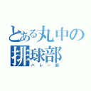 とある丸中の排球部（バレー部）