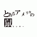 とあるアメリカの鼠（ミッキー）