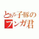 とある子豚のフンガ君（）