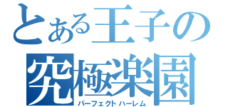 とある王子の究極楽園（パーフェクトハーレム）