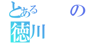 とあるの徳川（）