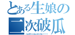 とある生娘の二次破瓜（ハジメテナノニカンジチャウヨー！！！！）