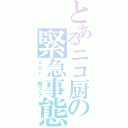 とあるニコ厨の緊急事態（ｖｅｒ．親フラ）